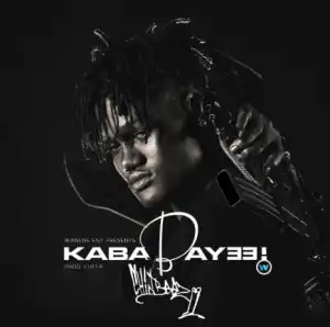 Chin Bees - Kababaye